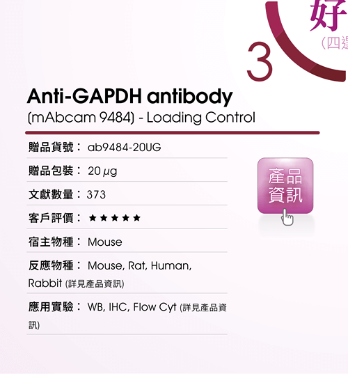 <贈品選項 3> Anti-GAPDH antibody [mAbcam 9484] - Loading Control (ab9484-20UG) : 五星級客戶滿意度，373 篇發表文獻， 適用於 WB, IHC, Flow Cyt 等應用實驗，適用物種涵蓋 Mouse, Rat, Human, Rabbit 等。