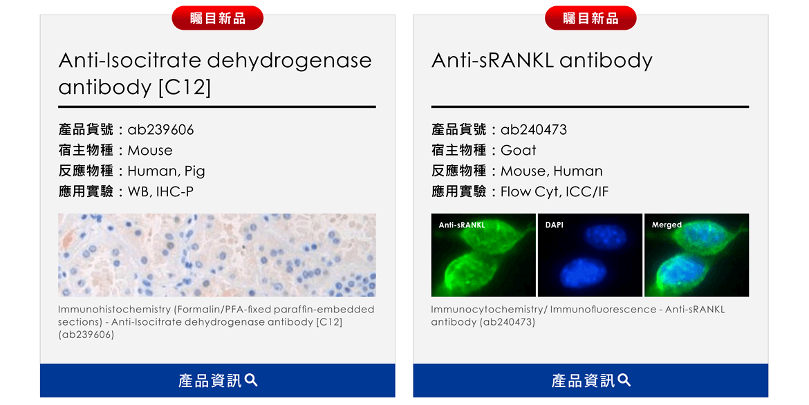 矚目新品 — Anti-Isocitrate dehydrogenase antibody [C12] (ab239606)、Anti-sRANKL antibody (ab240473)