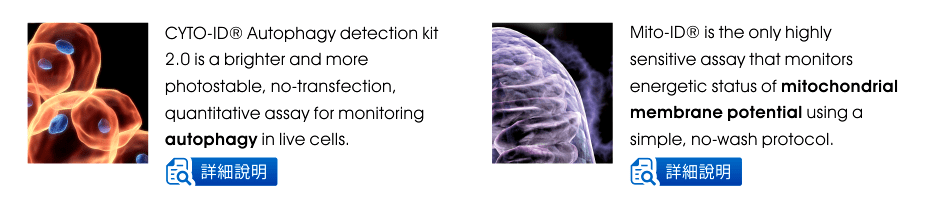 CYTO-ID® Autophagy detection kit 2.0 is a brighter and more photostable, no-transfection, quantitative assay for monitoring autophagy in live cells. | Mito-ID® is the only highly sensitive assay that monitors energetic status of mitochondrial membrane potential using a simple, no-wash protocol.