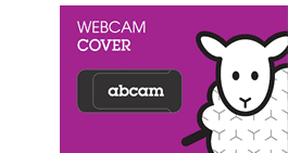 Gift: Webcam cover