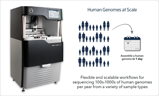 Whole genome sequencing for de novo assembly | PacBio HiFi Sequencing and Sequel® IIe System