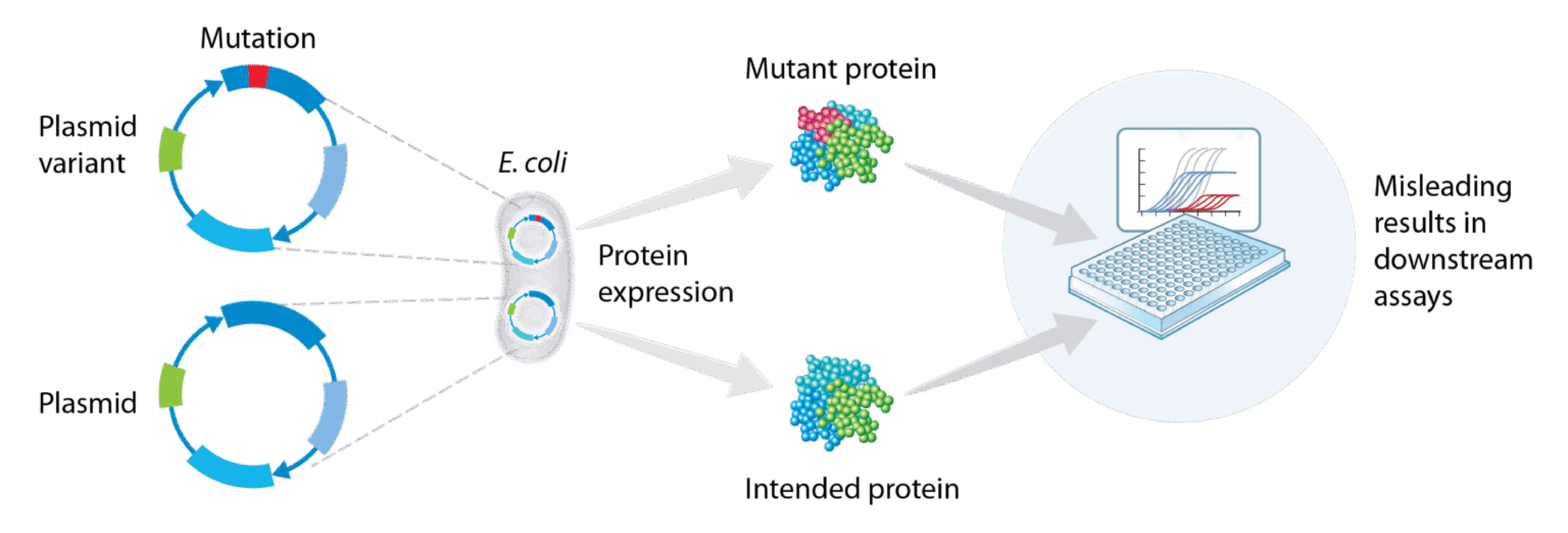 co-transformation Misleading Results