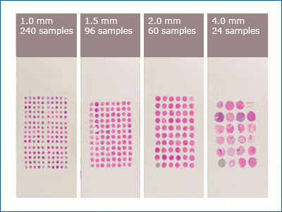 不同尺寸組織的應用範圍（1.0–4.0 mm）