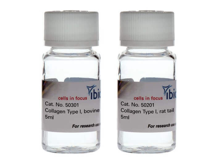 Type I Collagen