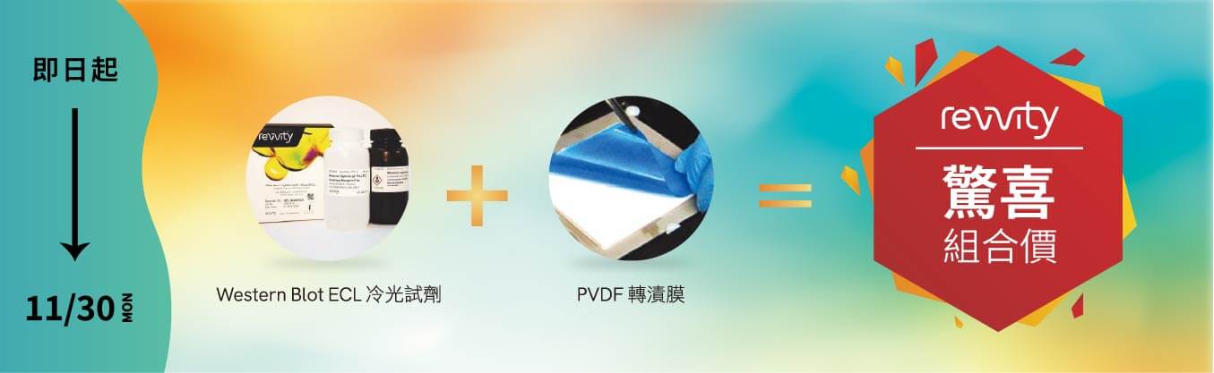 Western Blot 最佳夥伴 【ECL + PVDF 優惠套組】超值登場|Revvity