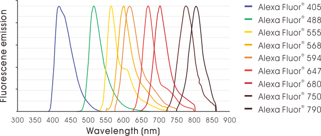 Emission spectra – Abcam Alexa Fluor<sup>®</sup> conjugated secondary antibodies