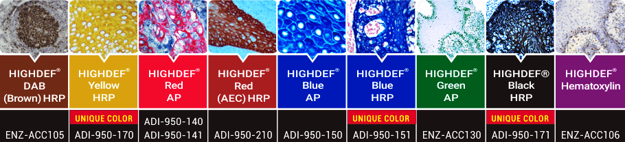 HIGHDEF IHC 呈色劑 (HIGHDEF IHC Chromogen)