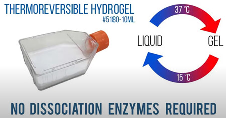 Mebiol® Thermoreversible Hydrogel