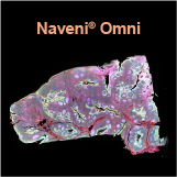 Naveni® Omni multiplex isPLA