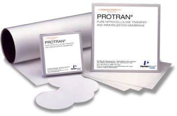 Protran™ NC 轉漬膜 (Protran™ Nitrocellulose Hybridization Transfer Membrane)