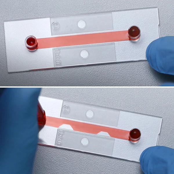 the Workflow for a UV-Induced Chemical Reaction