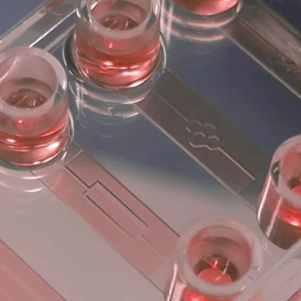 the Workflow for a UV-Induced Chemical Reaction