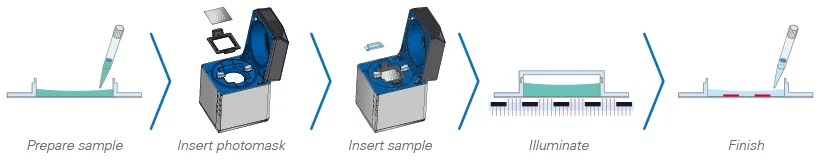 the Workflow for a UV-Induced Chemical Reaction