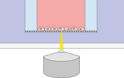 Cell Interface With a Membrane Insert