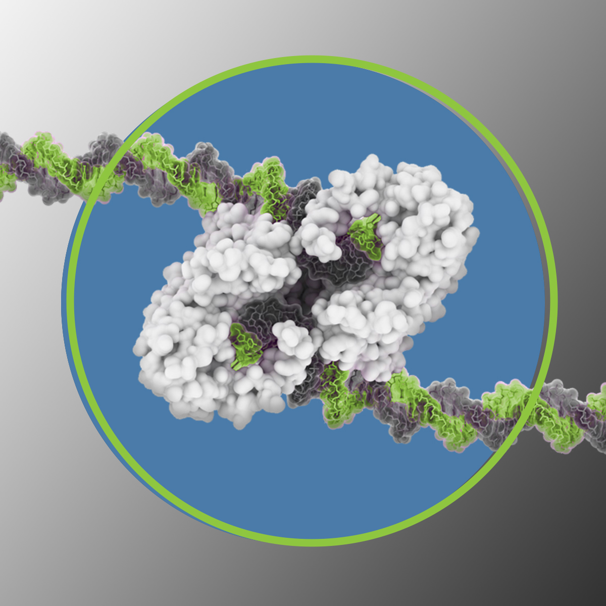 Tagify™ Custom-loaded Transposase