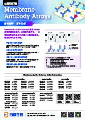 Membrane Antibody Arrays