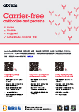 無載體系列抗體與蛋白質產品