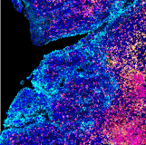 空間多體學 (Spatial Multi-omics)