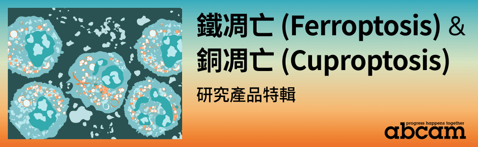 鐵凋亡 (Ferroptosis) • 銅凋亡 (Cuproptosis) 研究產品特輯