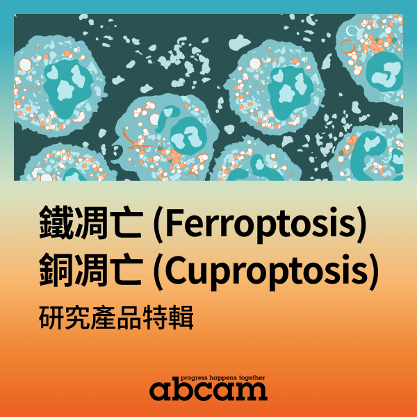 鐵凋亡 (Ferroptosis) • 銅凋亡 (Cuproptosis) 研究產品特輯