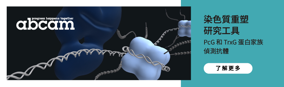 Abcam 染色質重塑研究工具— PcG 和 TrxG 蛋白家族偵測抗體