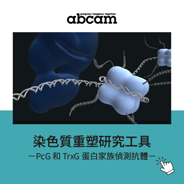 Abcam 染色質重塑研究工具— PcG 和 TrxG 蛋白家族偵測抗體