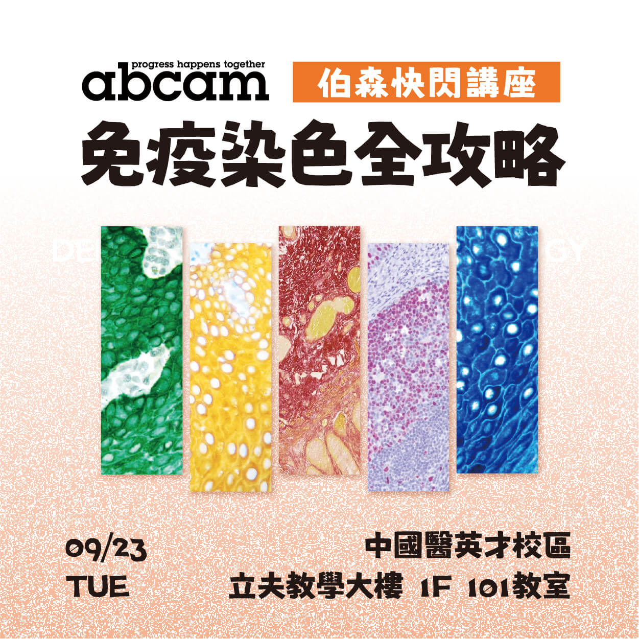 敬邀參加伯森快閃講座【免疫染色全攻略】 | 中國醫專場