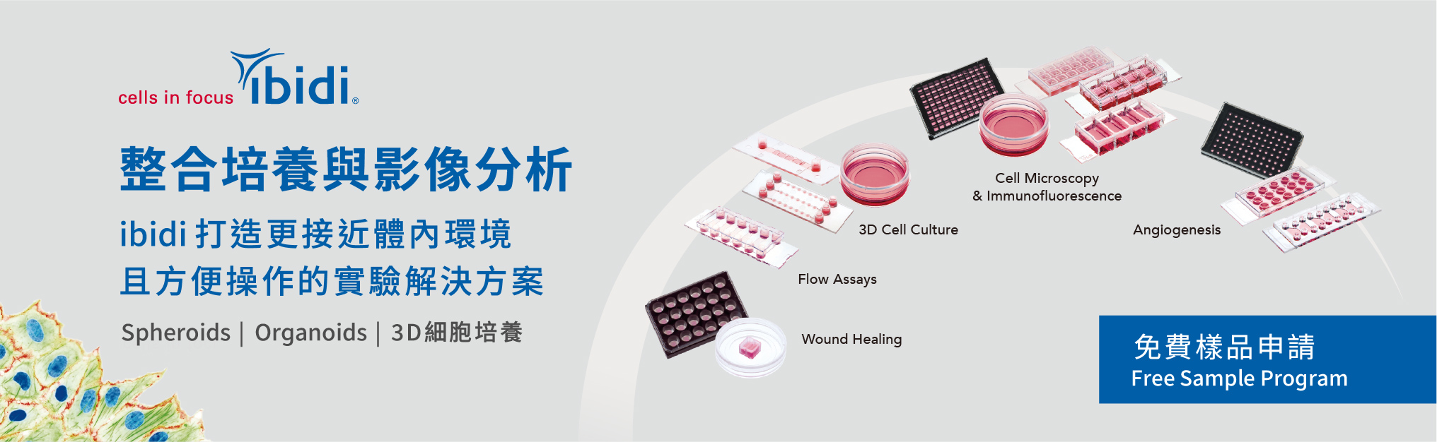 整合培養與影像分析，ibidi 打造更接近體內環境且方便操作的實驗解決方案