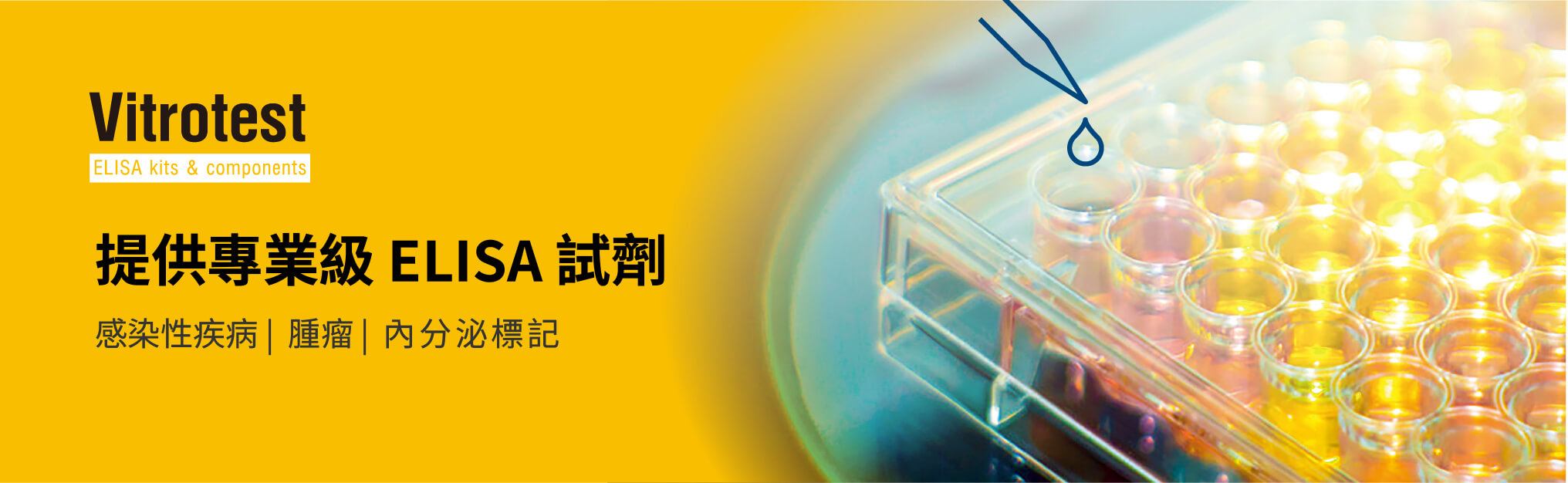 Vitrotest 提供專業級 ELISA 試劑，涵蓋感染性疾病、腫瘤及內分泌標記