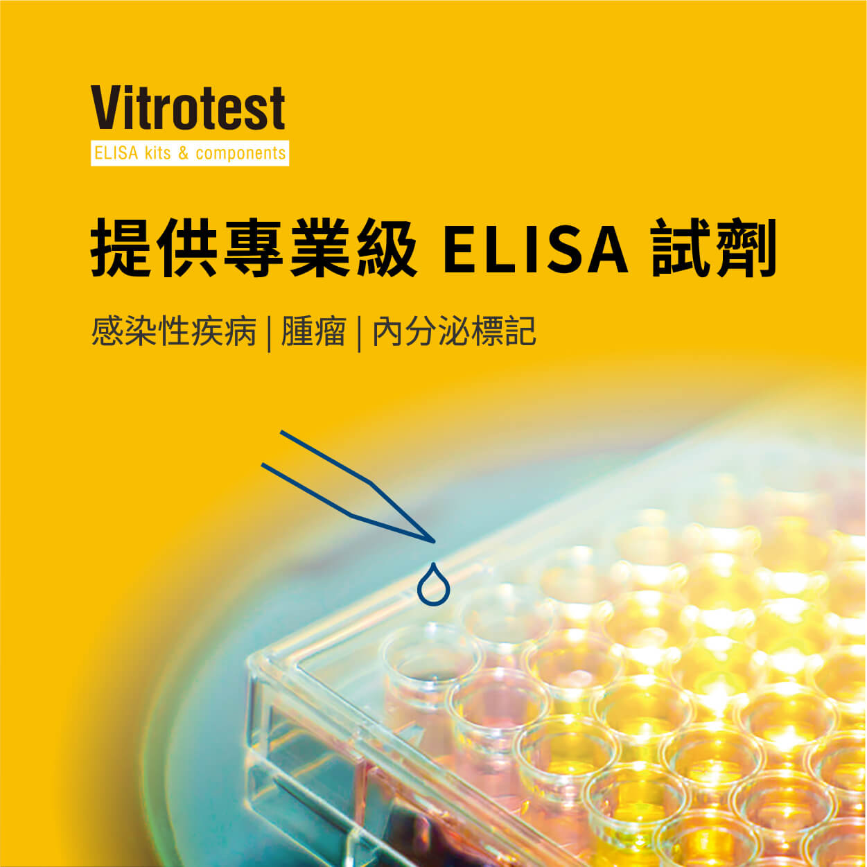 Vitrotest 提供專業級 ELISA 試劑，涵蓋感染性疾病、腫瘤及內分泌標記