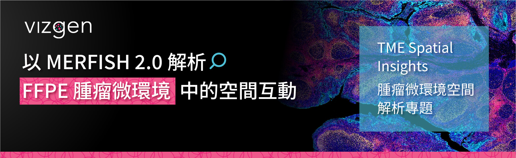 以 MERFISH 2.0 解析 FFPE 腫瘤微環境中的空間互動