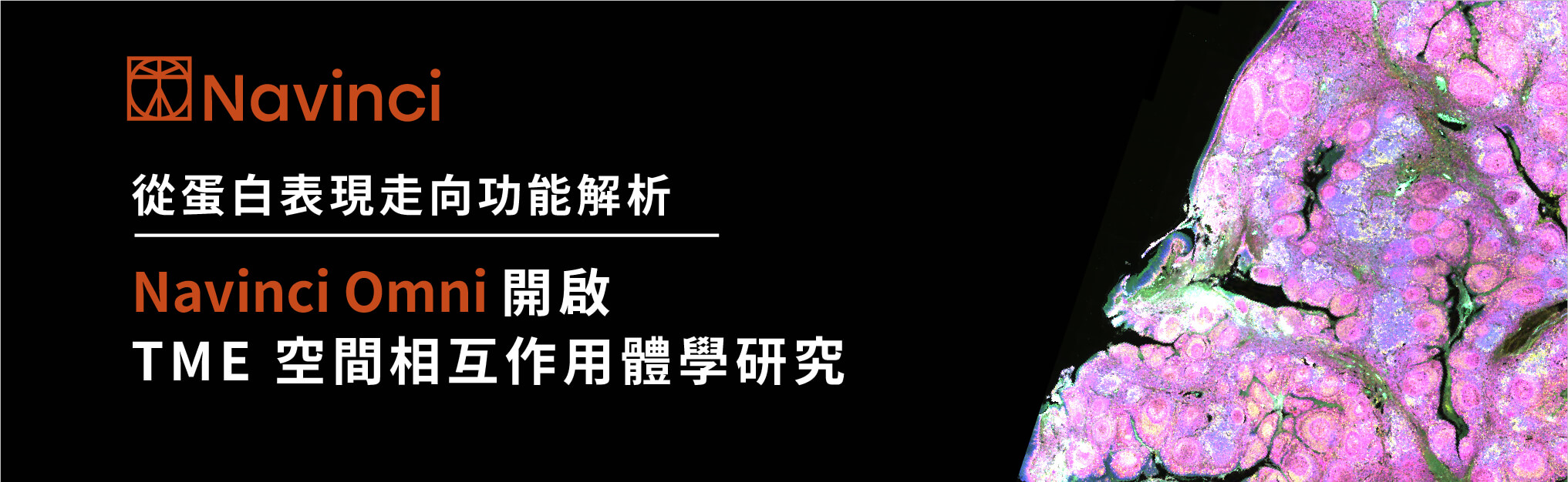 2【TME 專題】從蛋白表現走向功能解析：Navinci Omni 開啟 TME 空間相互作用體學研究