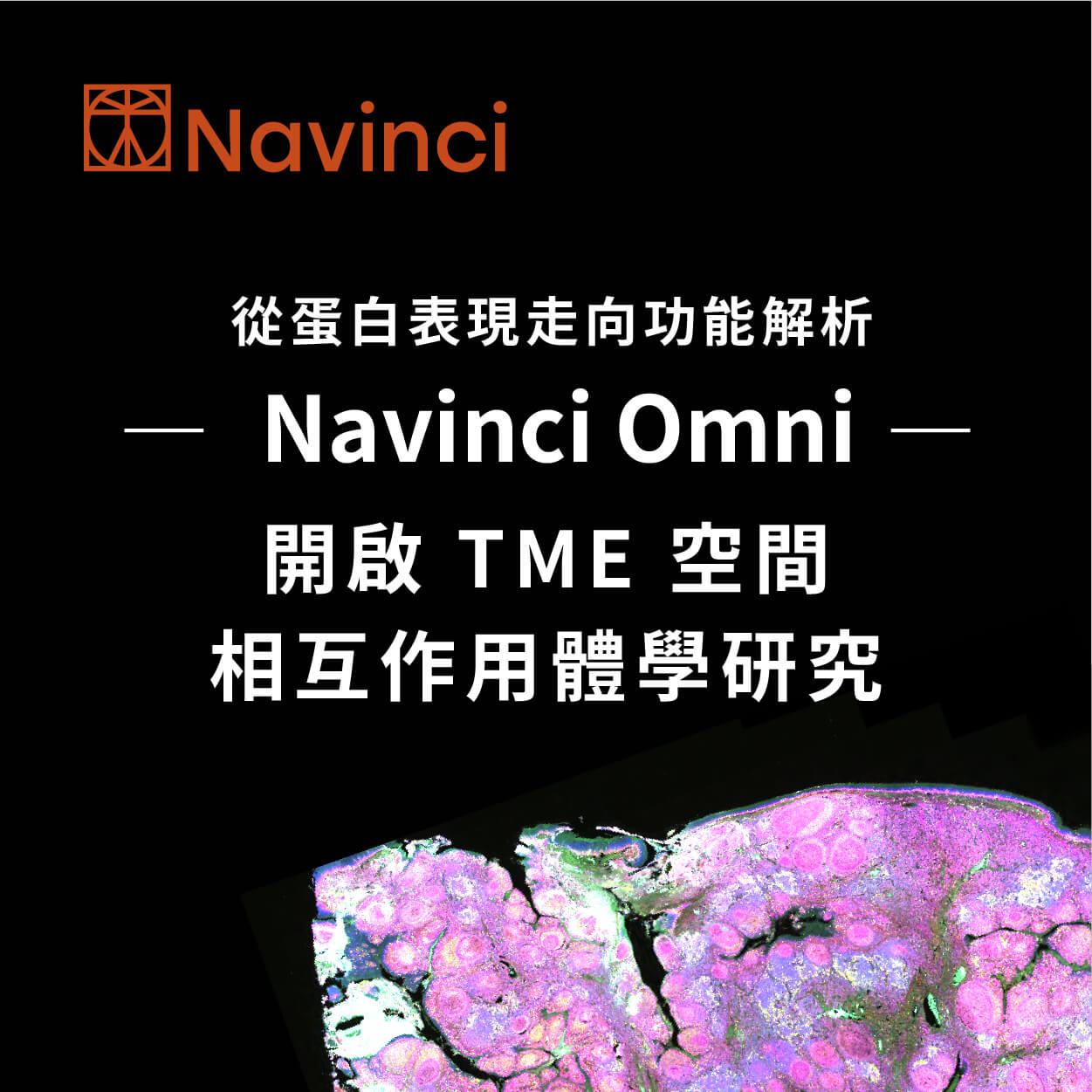2【TME 專題】從蛋白表現走向功能解析：Navinci Omni 開啟 TME 空間相互作用體學研究