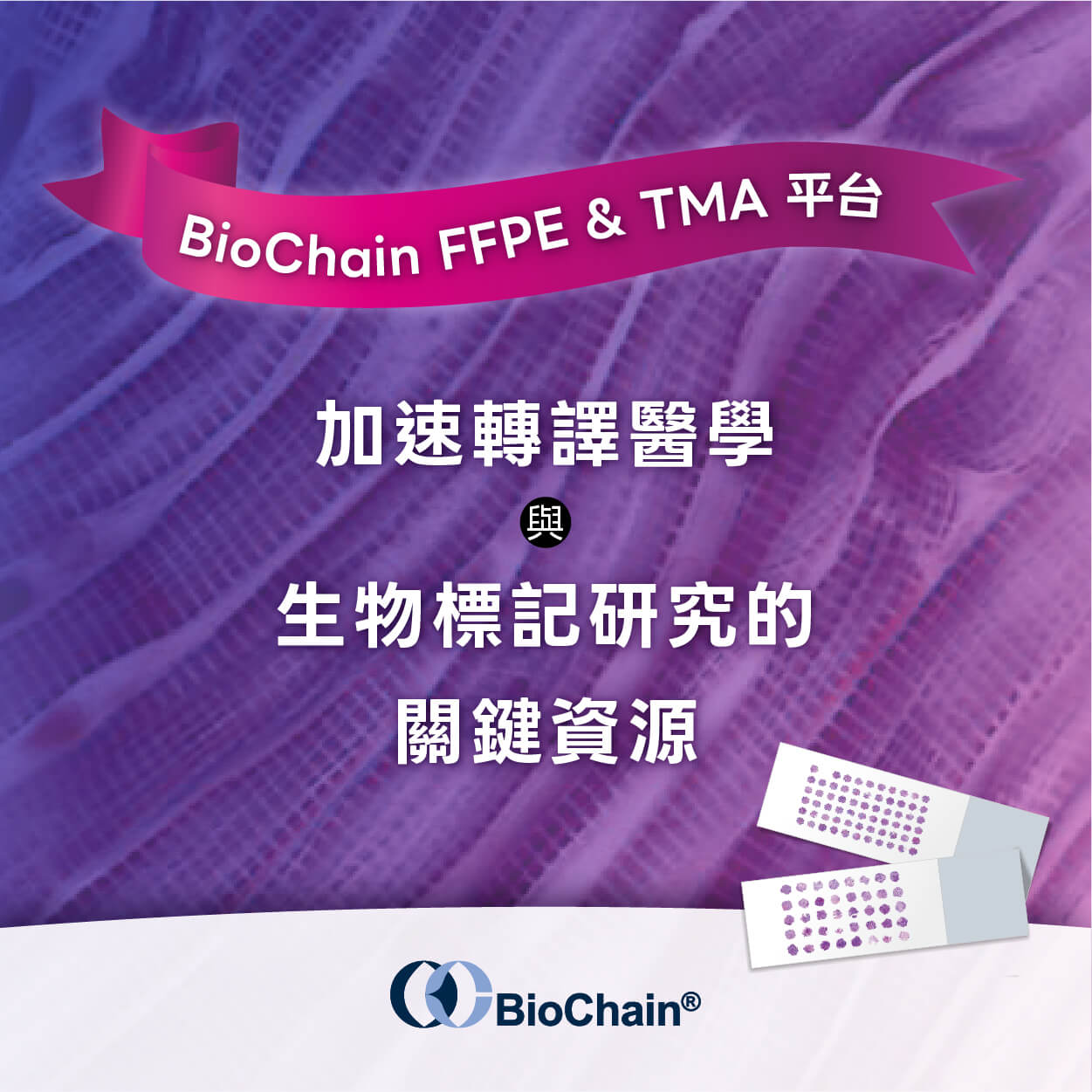 BioChain FFPE & TMA 平台：加速轉譯醫學與生物標記研究的關鍵資源