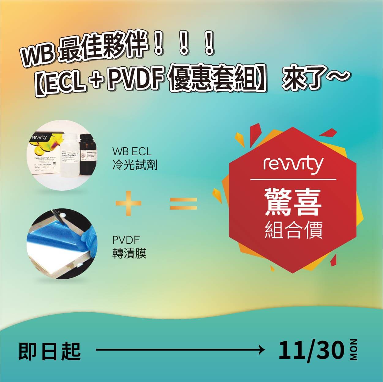 Western Blot 最佳夥伴 【ECL + PVDF 優惠套組】超值登場｜Revvity